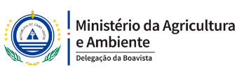 Ministerio de agricultura - Tartaruga Boa Vista - Cabo Verde