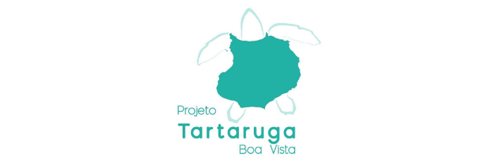 Tartaruga Boa Vista - Cabo Verde